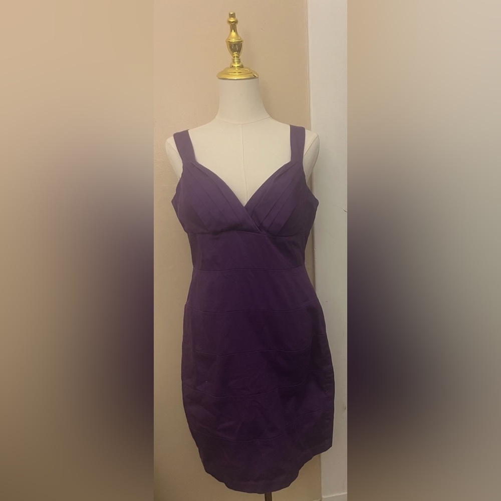 Bisou Bisou Rich Purple Dress